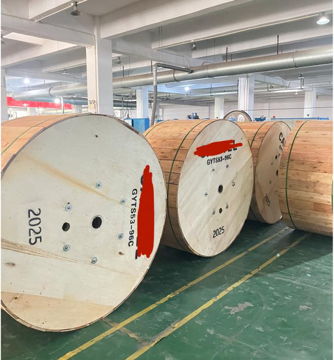 Fabrika Stokları Dışarıda Çift Zırhlı GYTS53-96 Çekirdekler Fiber Optic Kablo Çift Ceket G652D Aynı gün gönderildi 10