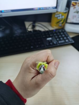 Tek Modlu 24 Çekirdekli ADSS İletişim Kablosu, Tüm Dielektrik Fiber Optik Kablo